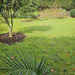 Casa Do Simao, Acores - Now With Hot Tub! Нордешти