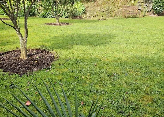 Casa Do Simao, Acores - Now With Hot Tub! Nordeste (Azores)